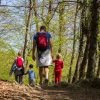 Best Safe Adventure Activities For Families In Thailand