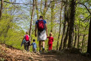 Best Safe Adventure Activities For Families In Thailand