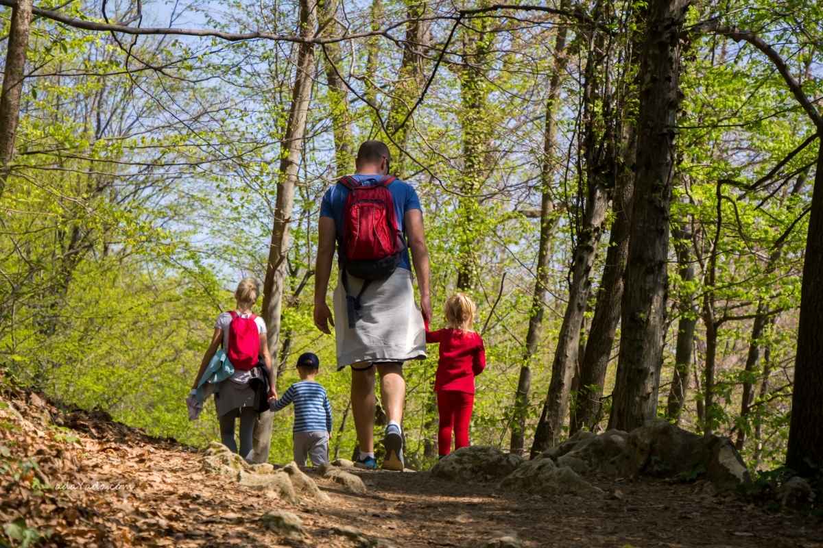 Best Safe Adventure Activities For Families In Thailand