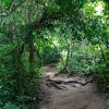 Simple Hiking And Walking Trails For Families In Thailand